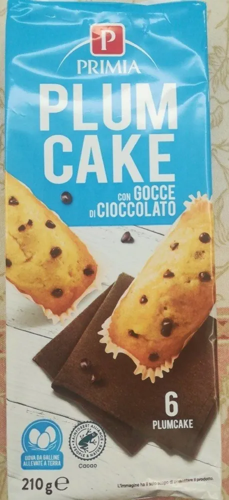 Plum cake con gocce di cioccolato