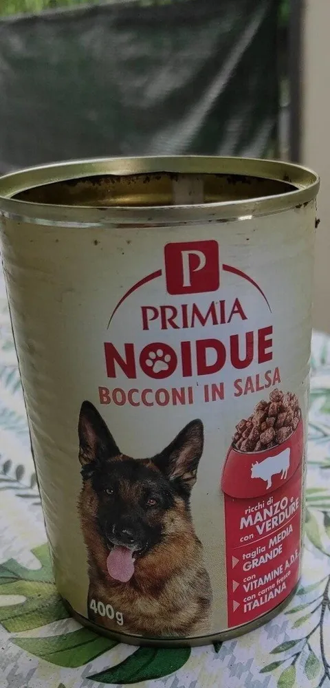 Noidue bocconi in salsa
