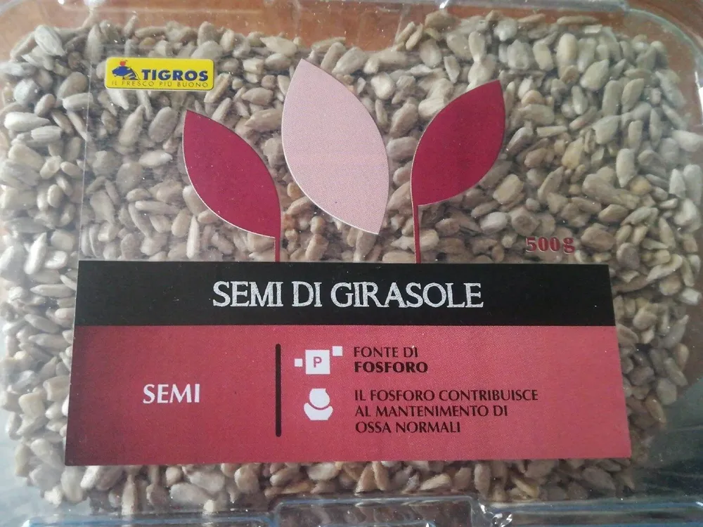 Semi di girasole