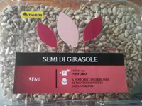 Semi di girasole