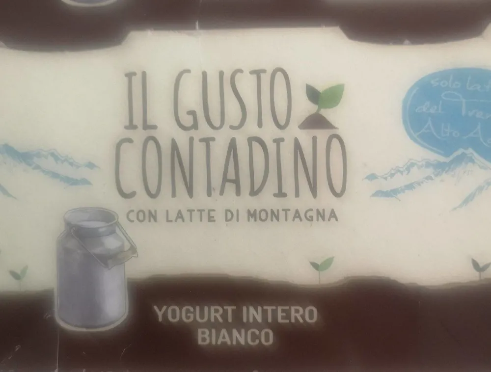 Yogurt intero bianco