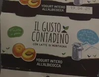 Il Gusto Contadino Yogurt intero all'albicocca