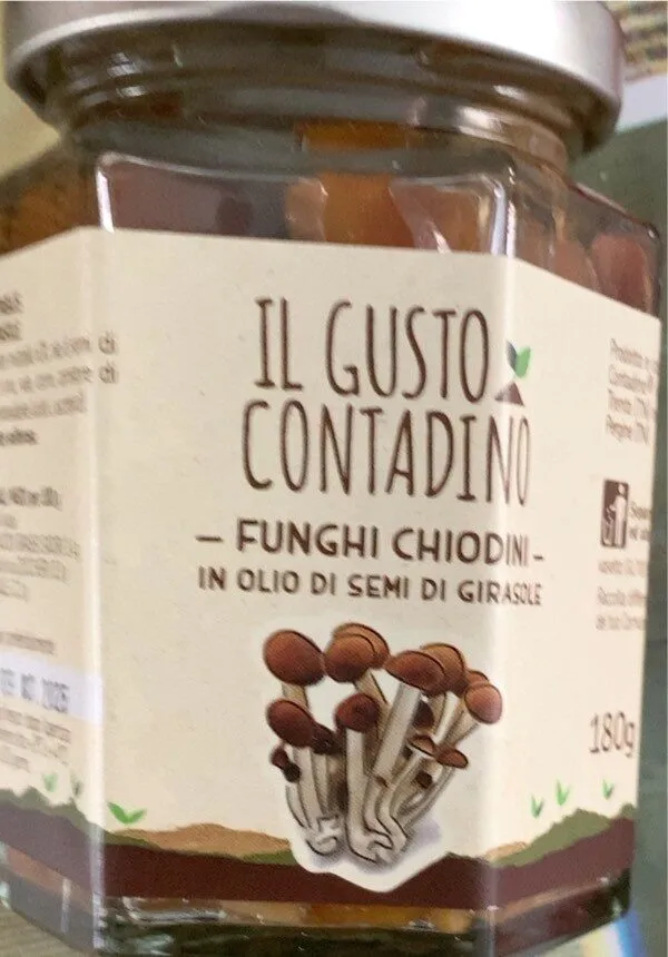 Funghi Chiodini