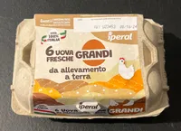 6 uova fresche grandi da allevamento a terra