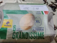 uova  italiane