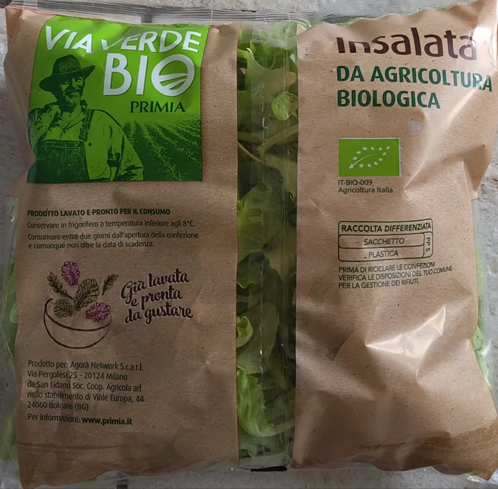 insalata lattughino bio