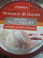 Gelato allo yogurt - variegato ai frutti di bosco