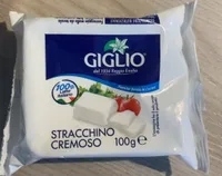 stracchino cremoso