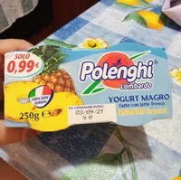 Yogurt magro