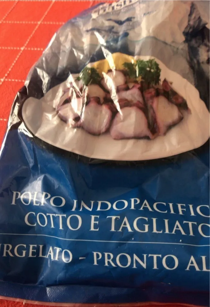 Polpo indopacifico
