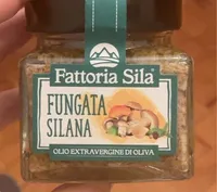 Fungata silana