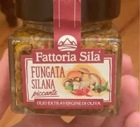 Fungata silana piccante