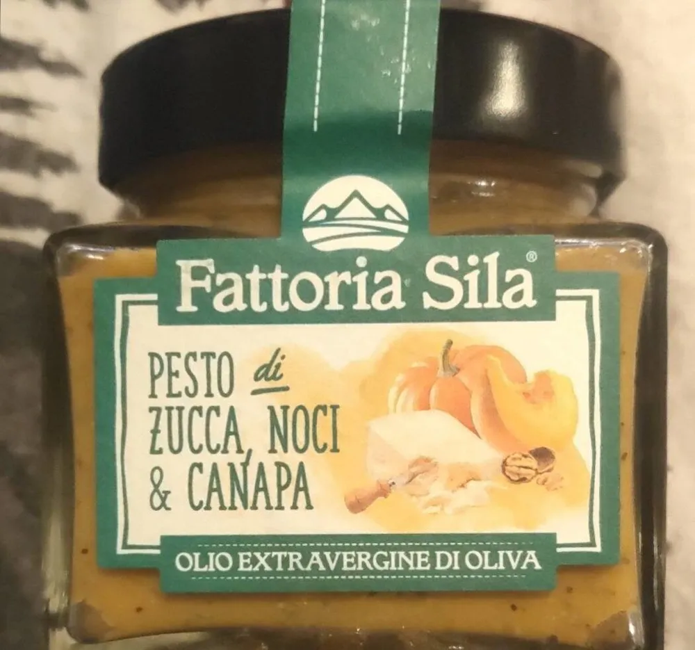 Pesto di zucca noci e canapa
