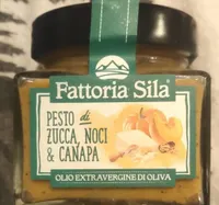 Pesto di zucca noci e canapa