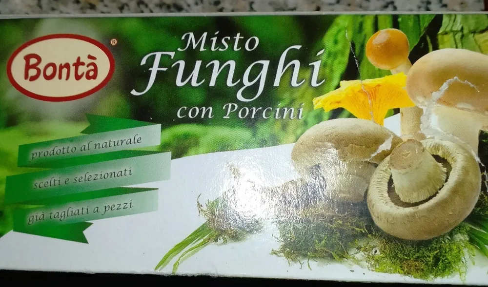 Misto funghi con porcini