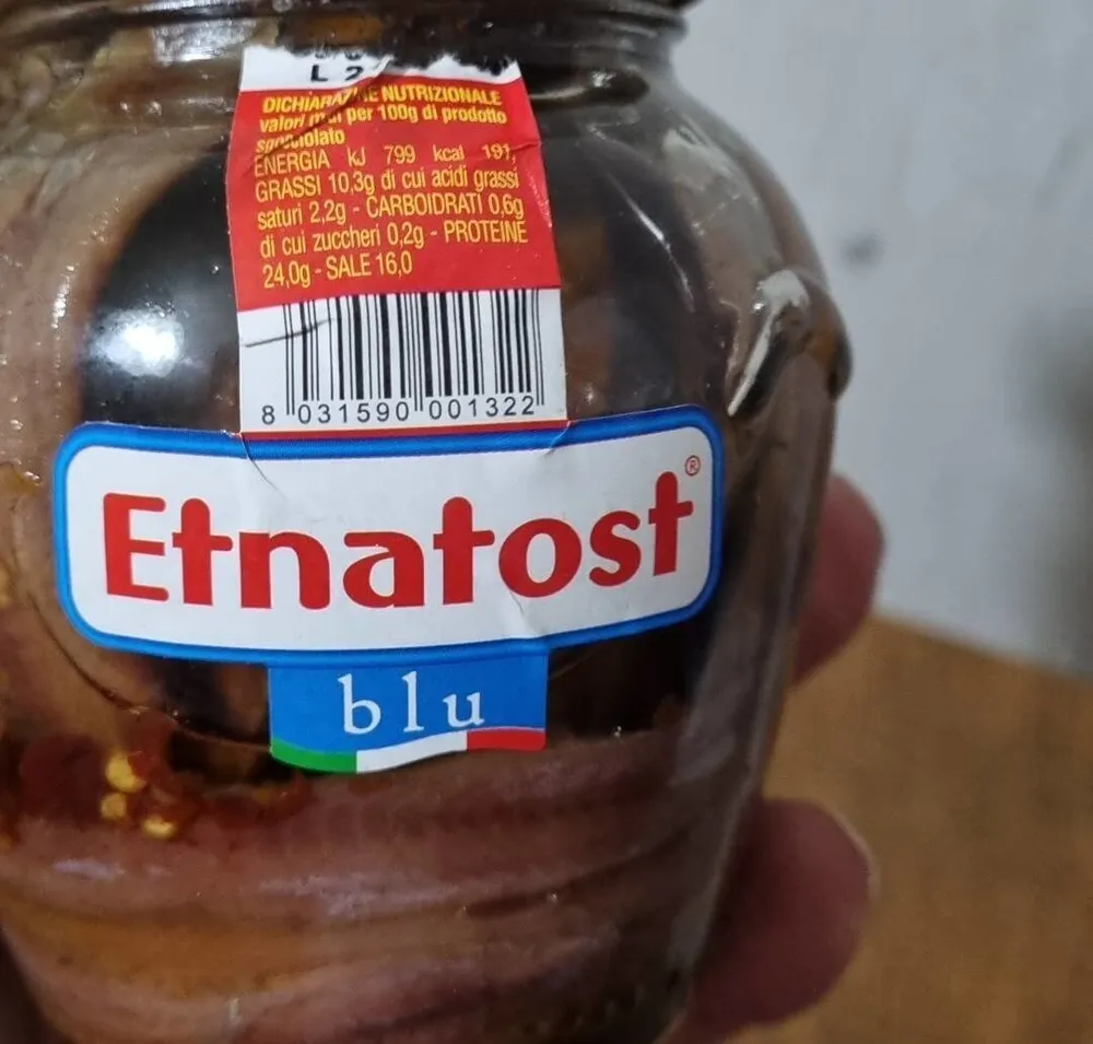 Etnatost