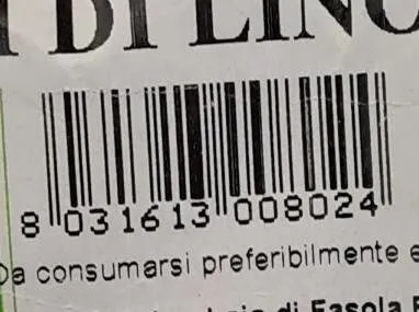 Semi di lino Bio
