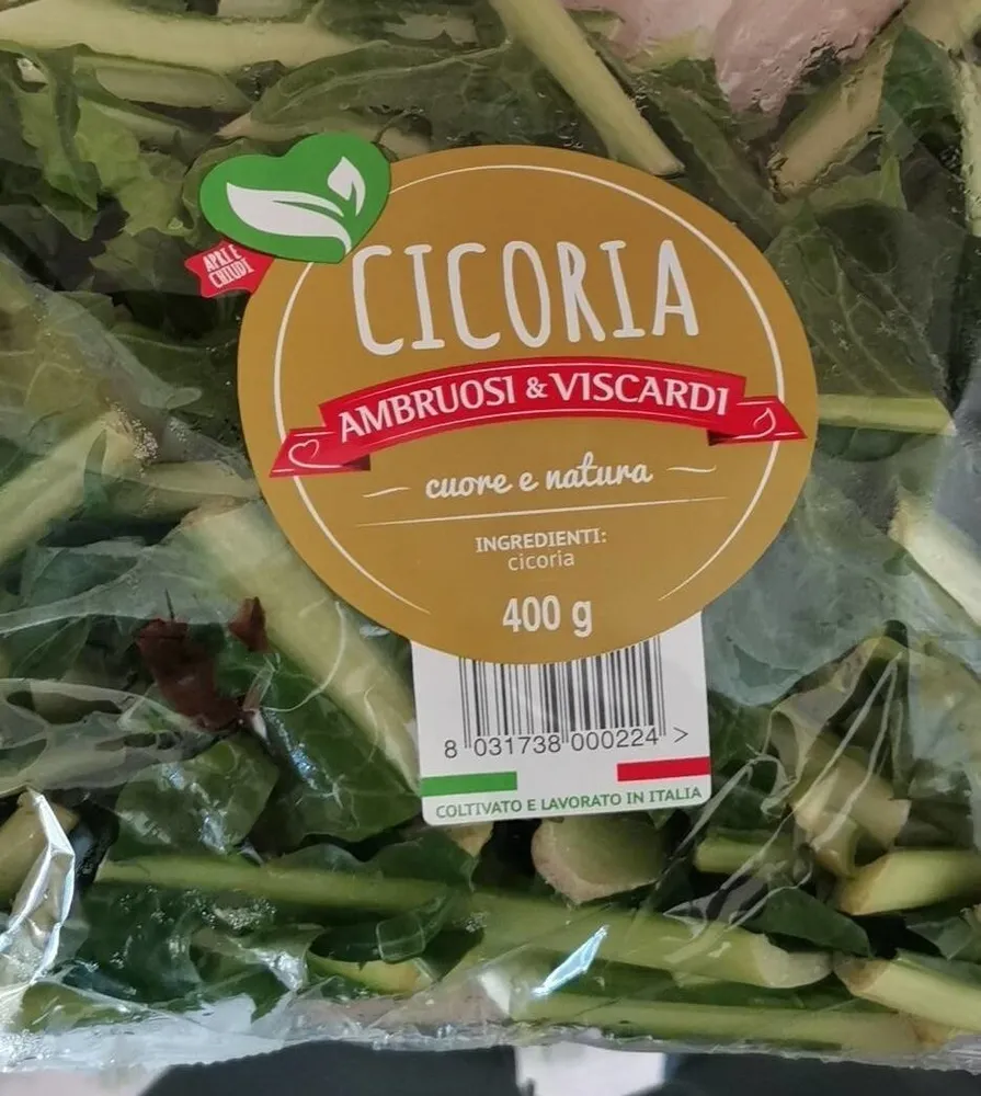 Cicoria