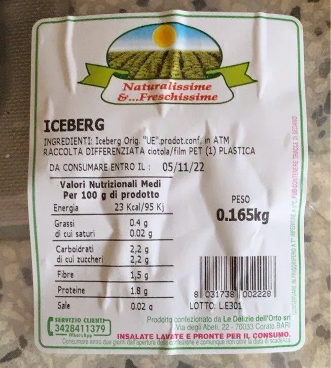Iceberg