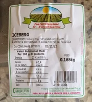 Iceberg
