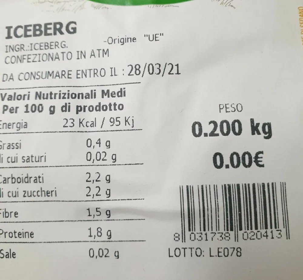 Iceberg