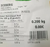 Iceberg