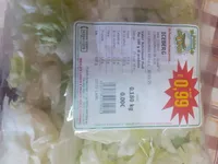 Iceberg