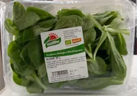 Insalata valeriana