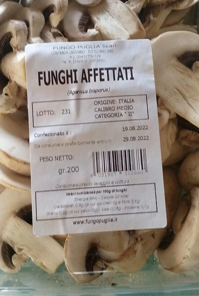 Funghi champignon