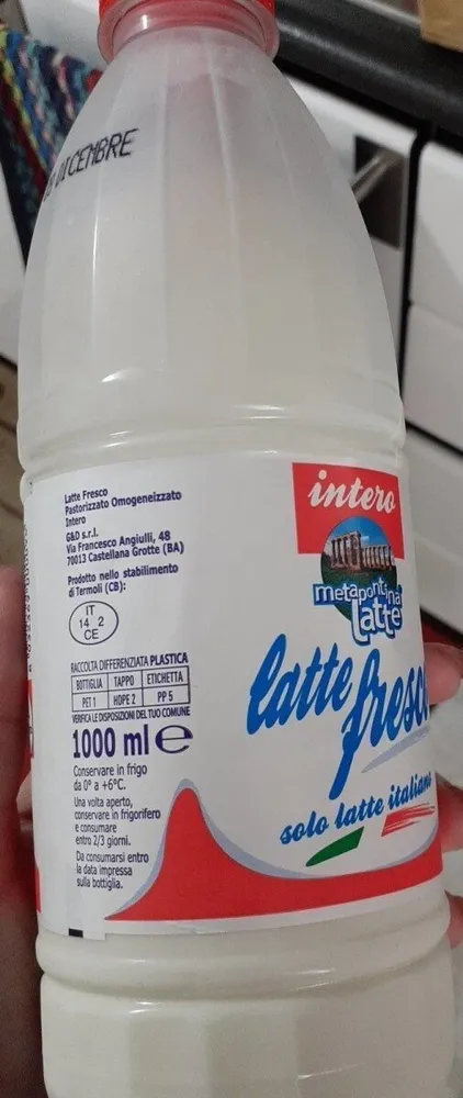Latte