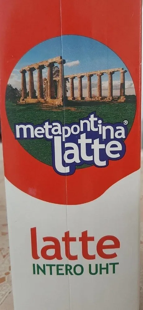 Metapontina latte