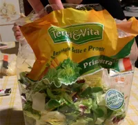 Terra e vita insalate