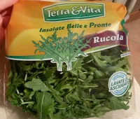 Insalate belle e pronte rucola