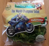 Valeriana insalata