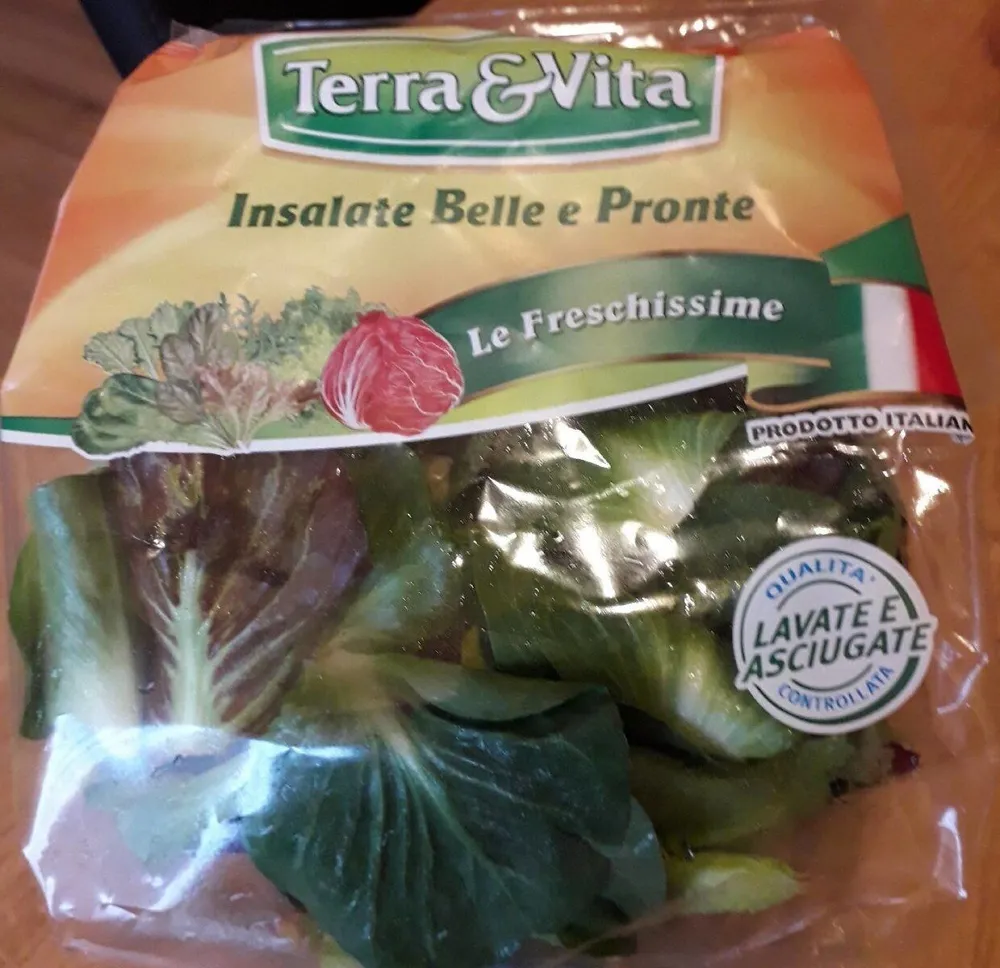 Insalata cicoria grumolo