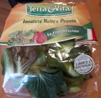 Insalata cicoria grumolo