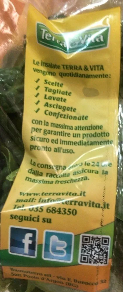Insalate Belle e Pronte