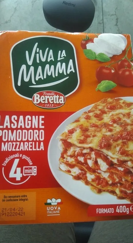lasagne pomodoro e mozzarella