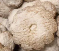 Ciambella
