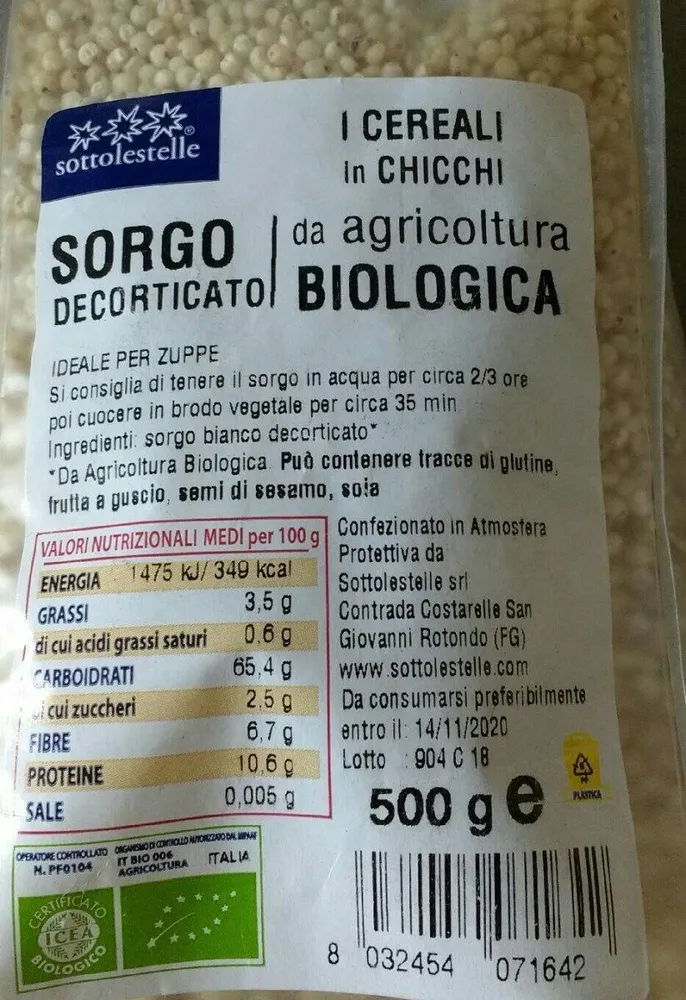 Sorgo