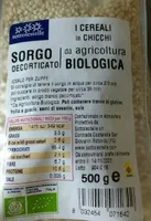Sorgo