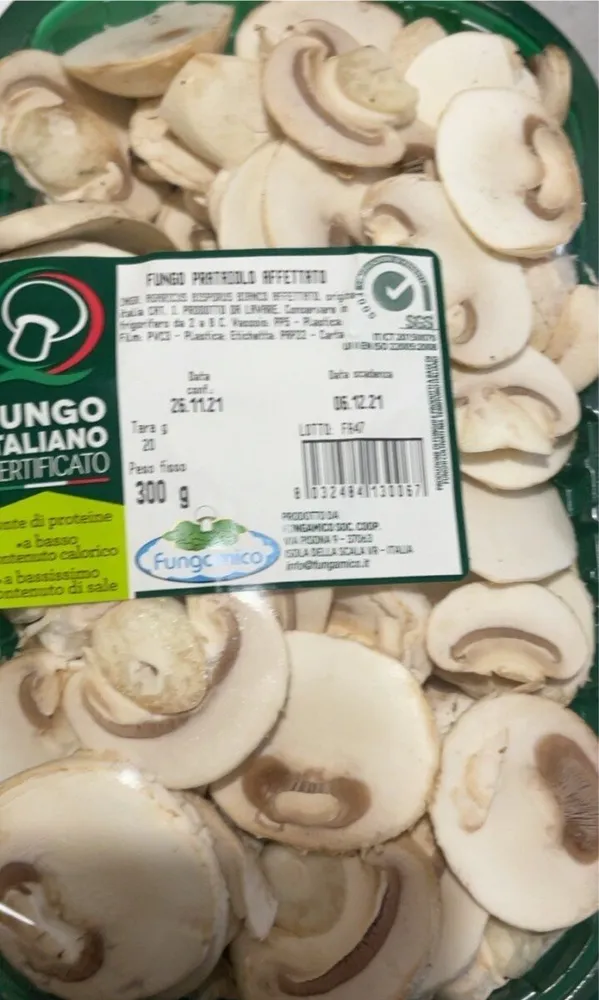 Fungo prataiolo