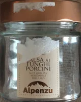 Salsa ai funghi porcini