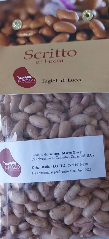Scritto di Lucca