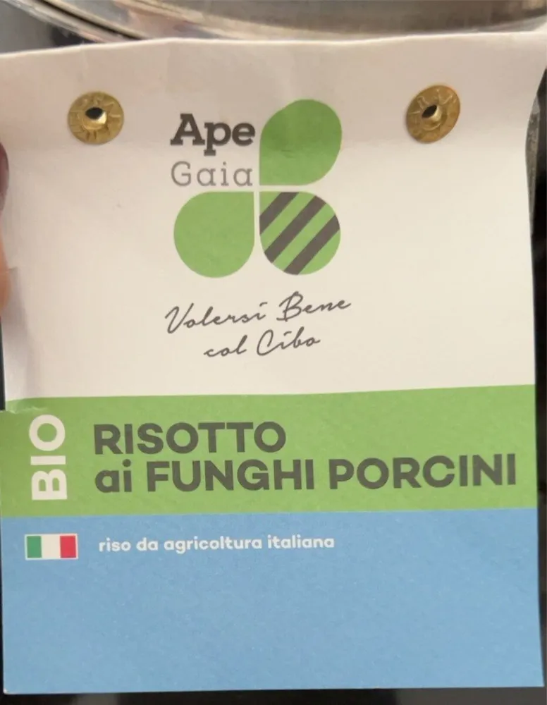 Risotto ai funghi porcini