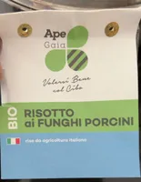 Risotto ai funghi porcini