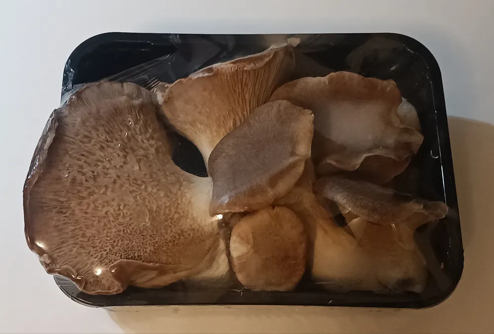 Funghi coltivati cardoncello