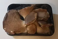 Funghi coltivati cardoncello