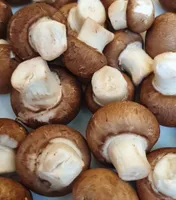 Funghi prataioli coltivati