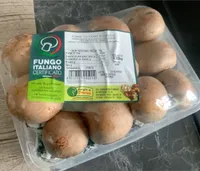 Fungo italiano
